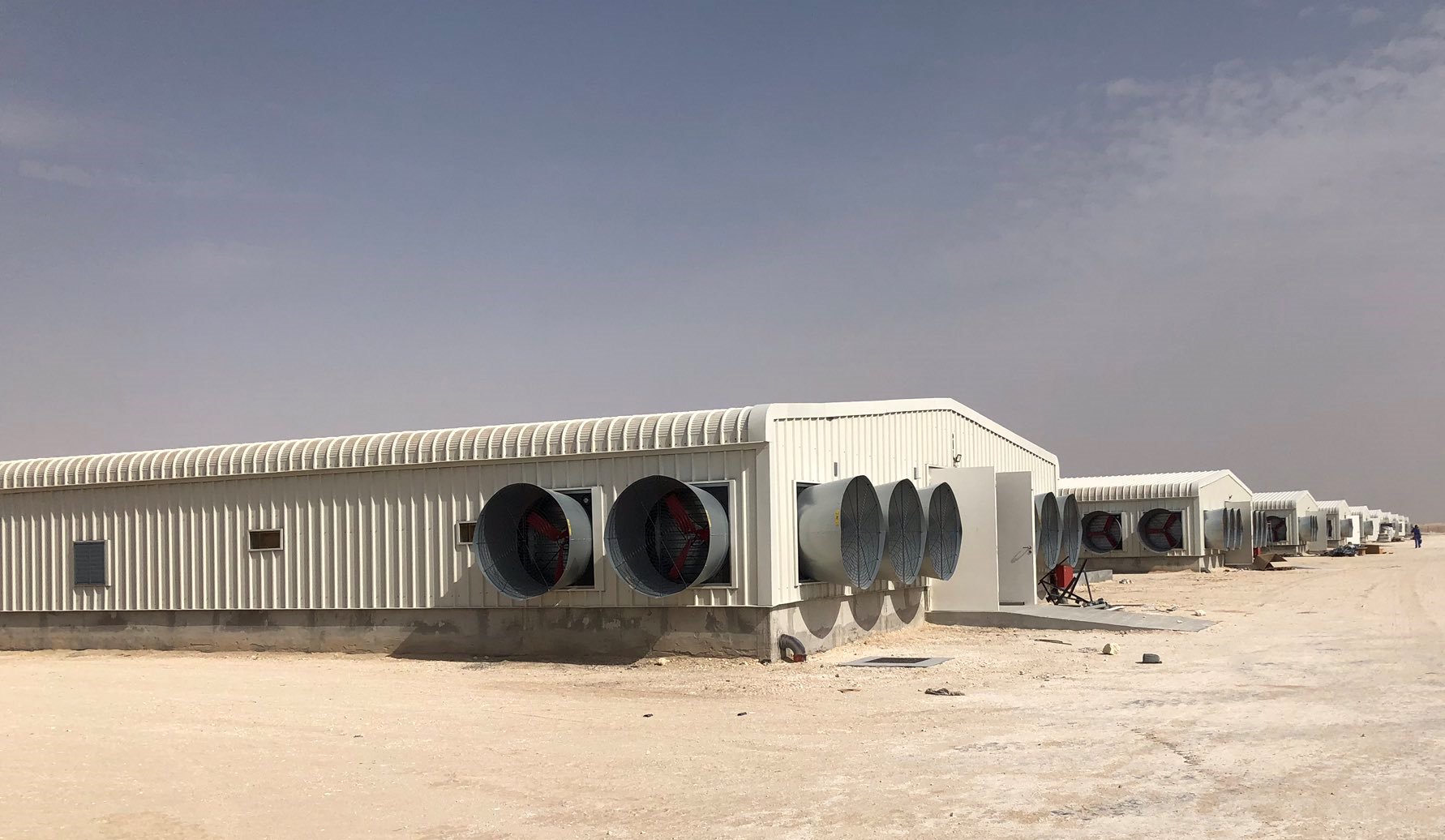 Osool Poultry Farm in Haima - crop