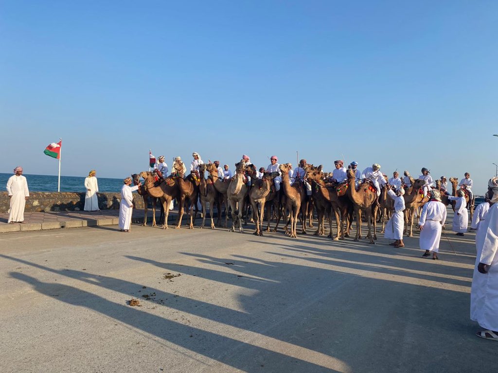 camel race