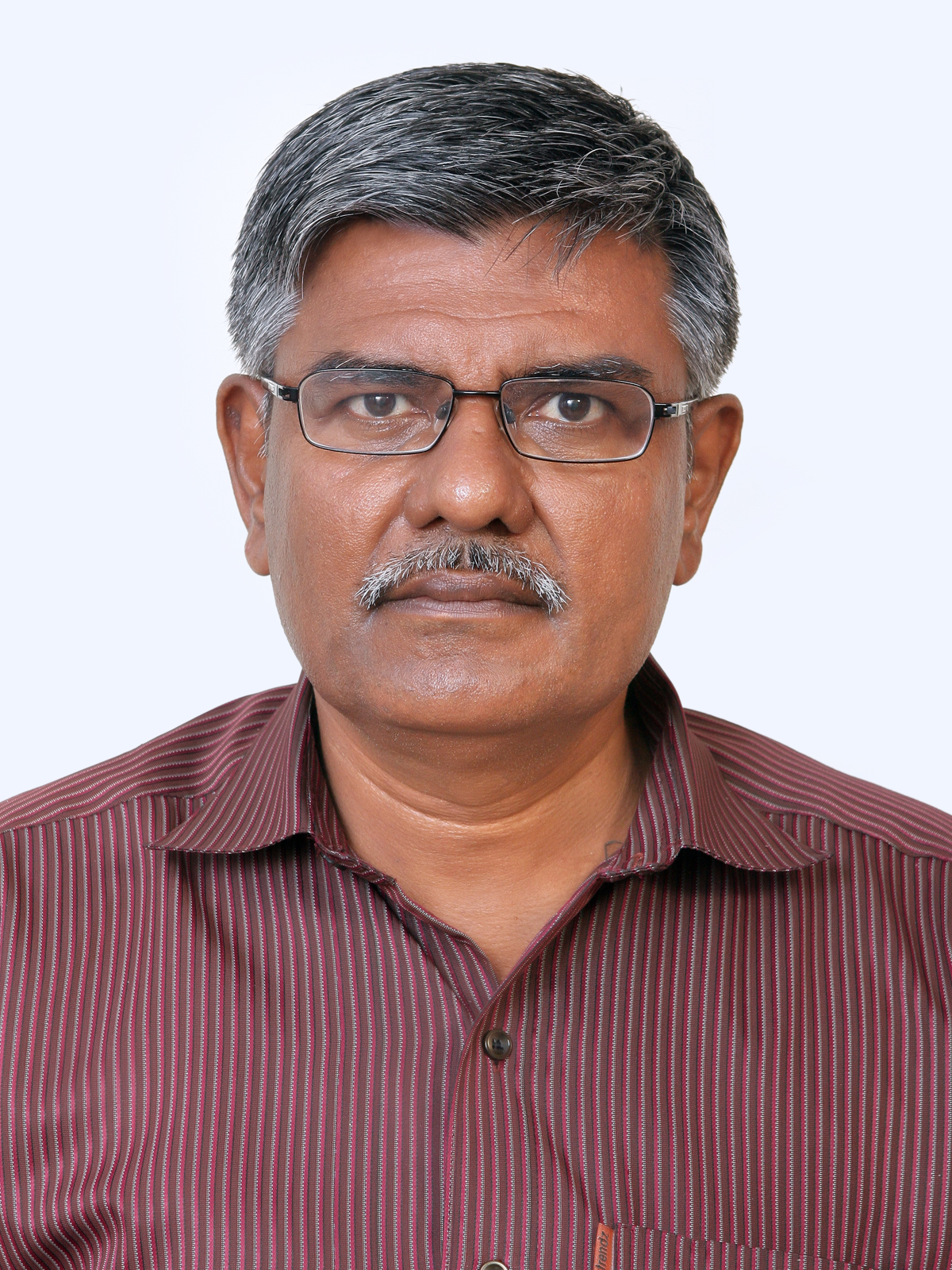 Professor Irudaya Rajan S