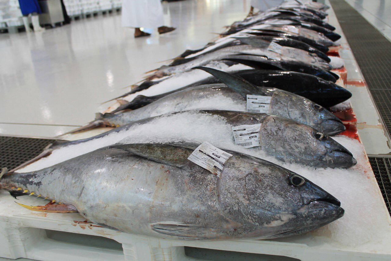 e-commerce platfor for fish