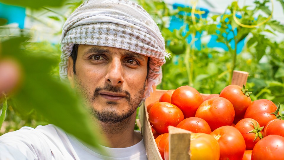 omran_farming_in_3-960x600