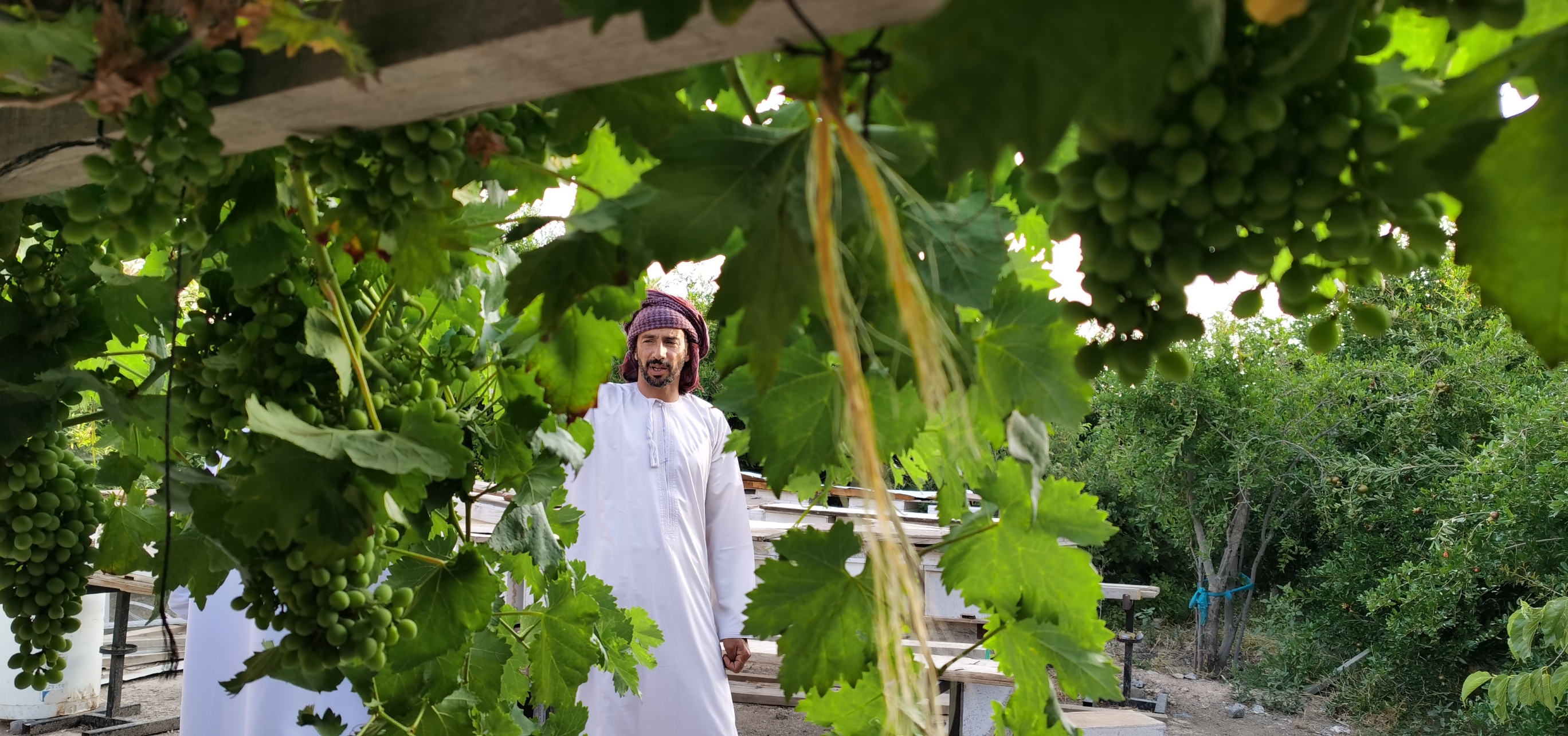 IMG_20200604_180712_resized_20200920_044120948