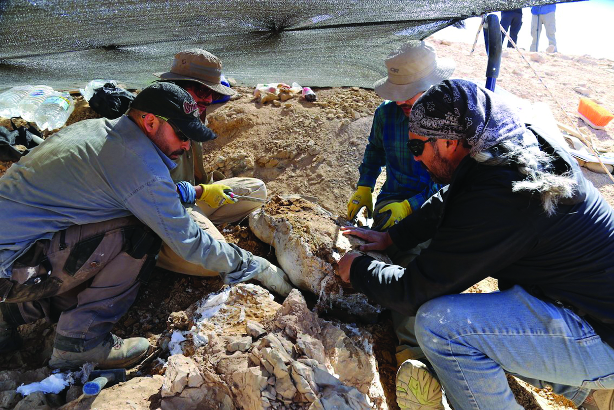 Image: Scientists discover remains of fearsome marine predator at Atacama desert