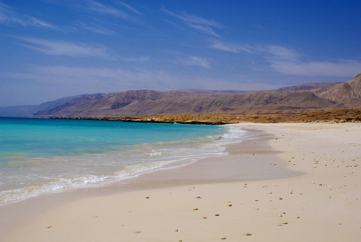 50dc0ebcf9bd096ca1c1b27a202bbd1c