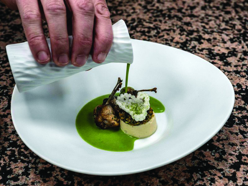 Frog-gallery_17511624736_original-ratio