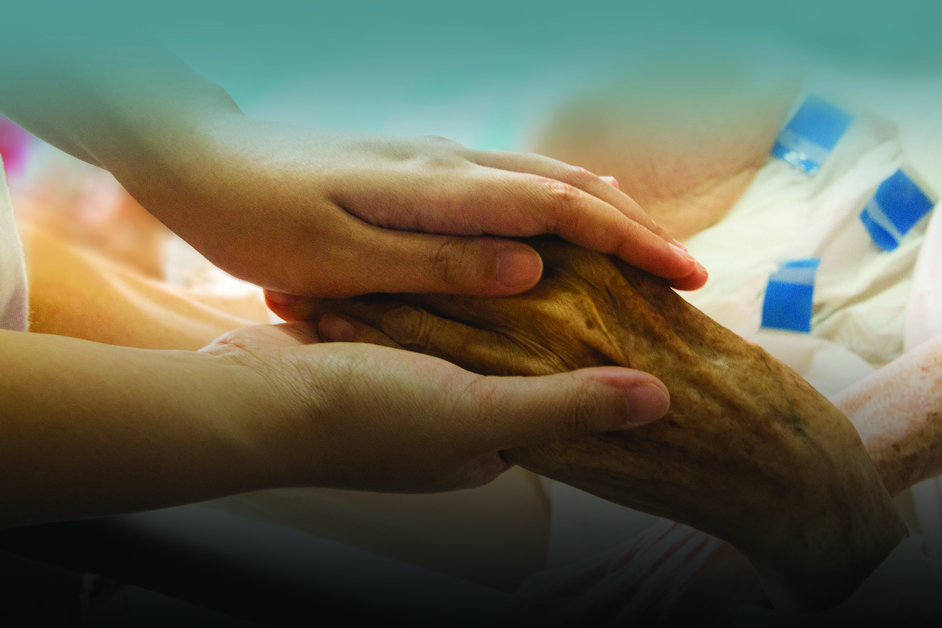 hand-in-hand-1686811_1920