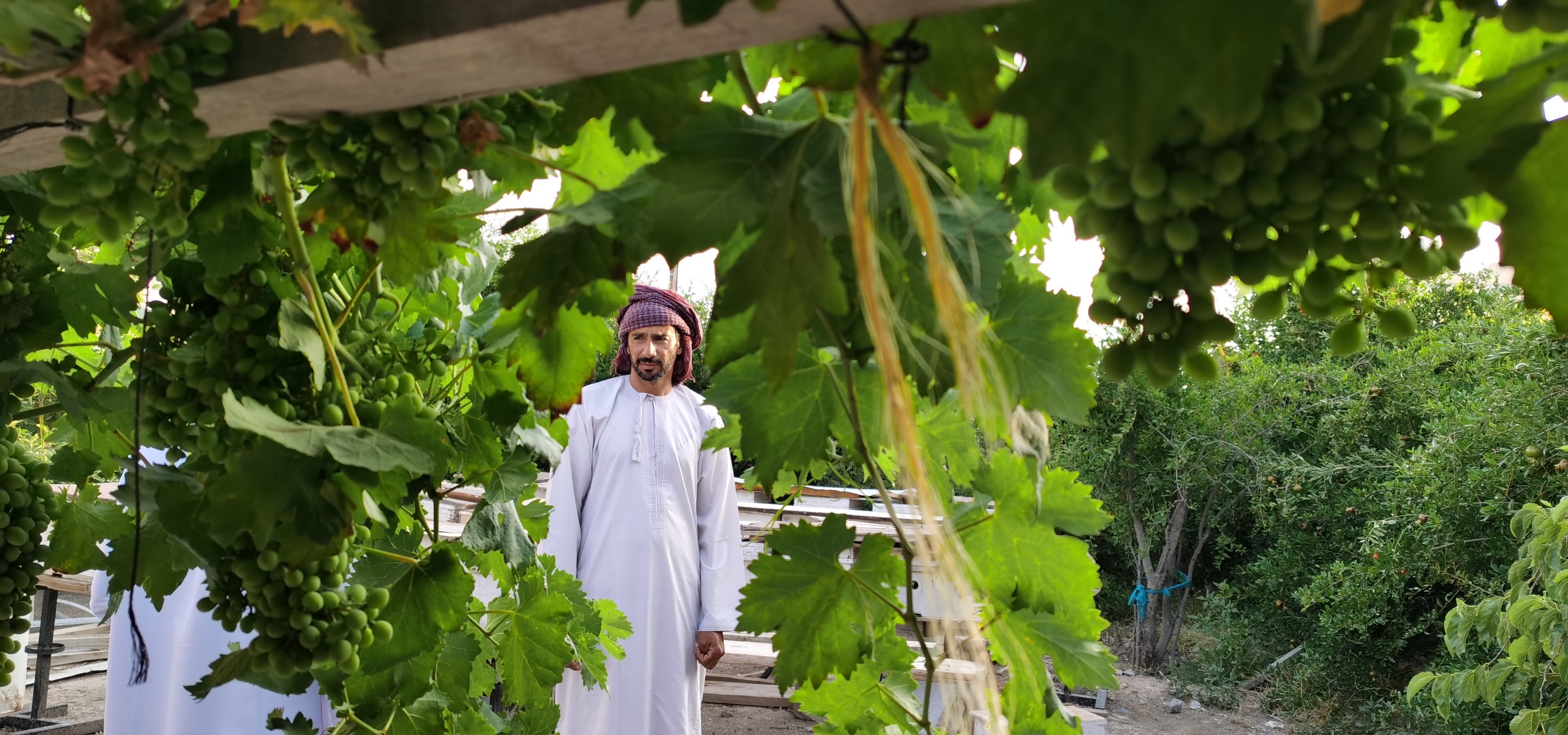 IMG_20200604_180703_resized_20201102_054539339