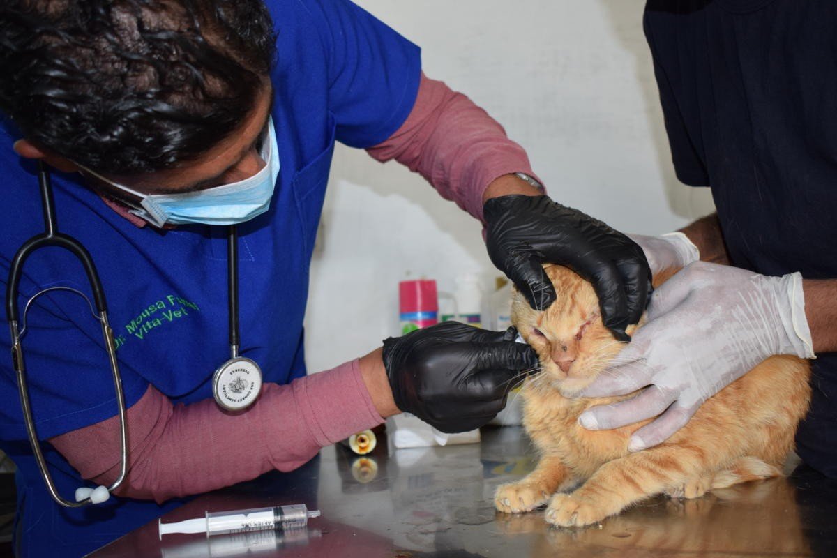 WhatsApp Image 2020-11-08 at 14.30.56