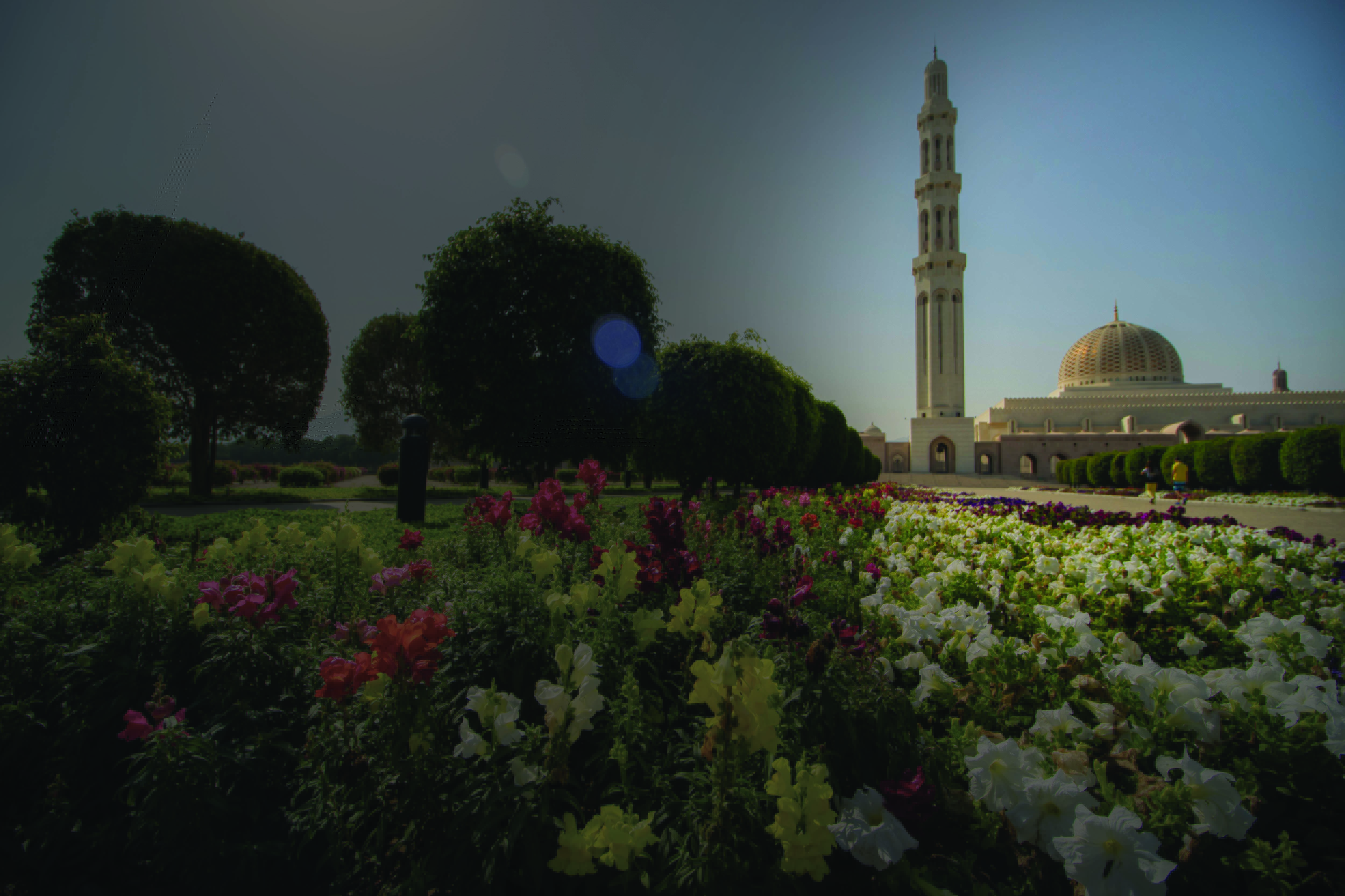 mostafa-meraji-AR_bMORUkQ0-unsplash