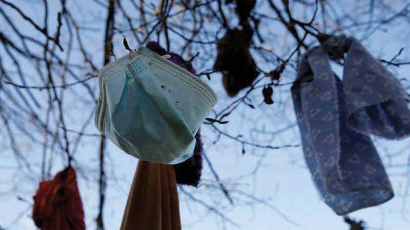 Healing-tree-mask-France_1763d4075e6_original-ratio