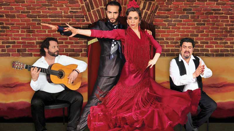 flamenco-madrid-centro-essential-flamenco