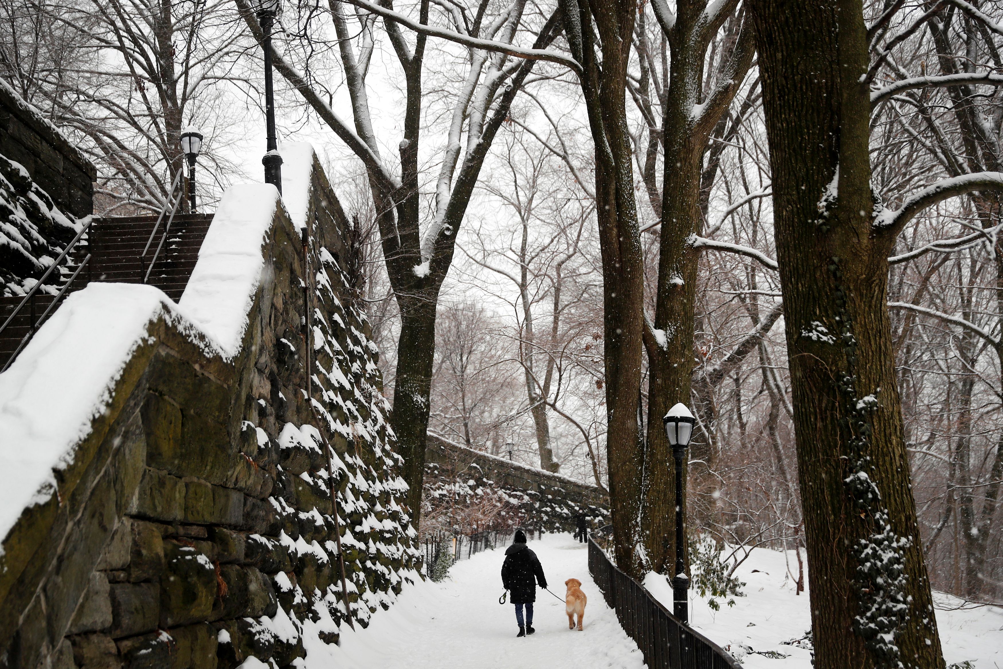 A woman walks a dog in falling snow in Riverside Park during a winter storm in New York