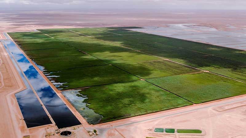 17-Time-to-act-against-climate-change-is-now-(2)